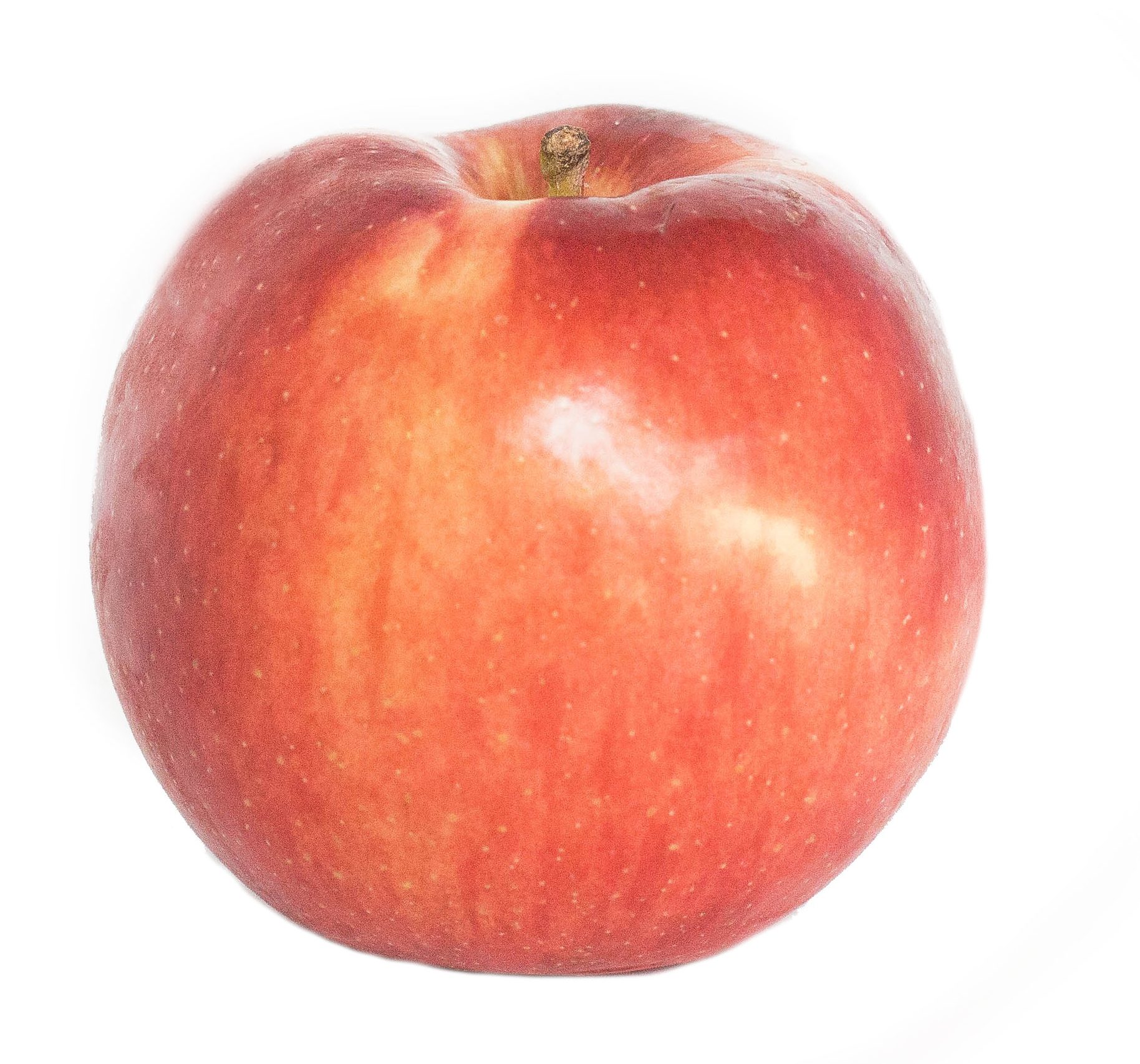 Gala Apples - Riveridge Produce Marketing, INC.