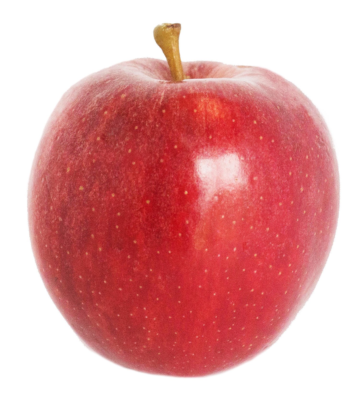 McIntosh Apples - Riveridge Produce Marketing, INC.