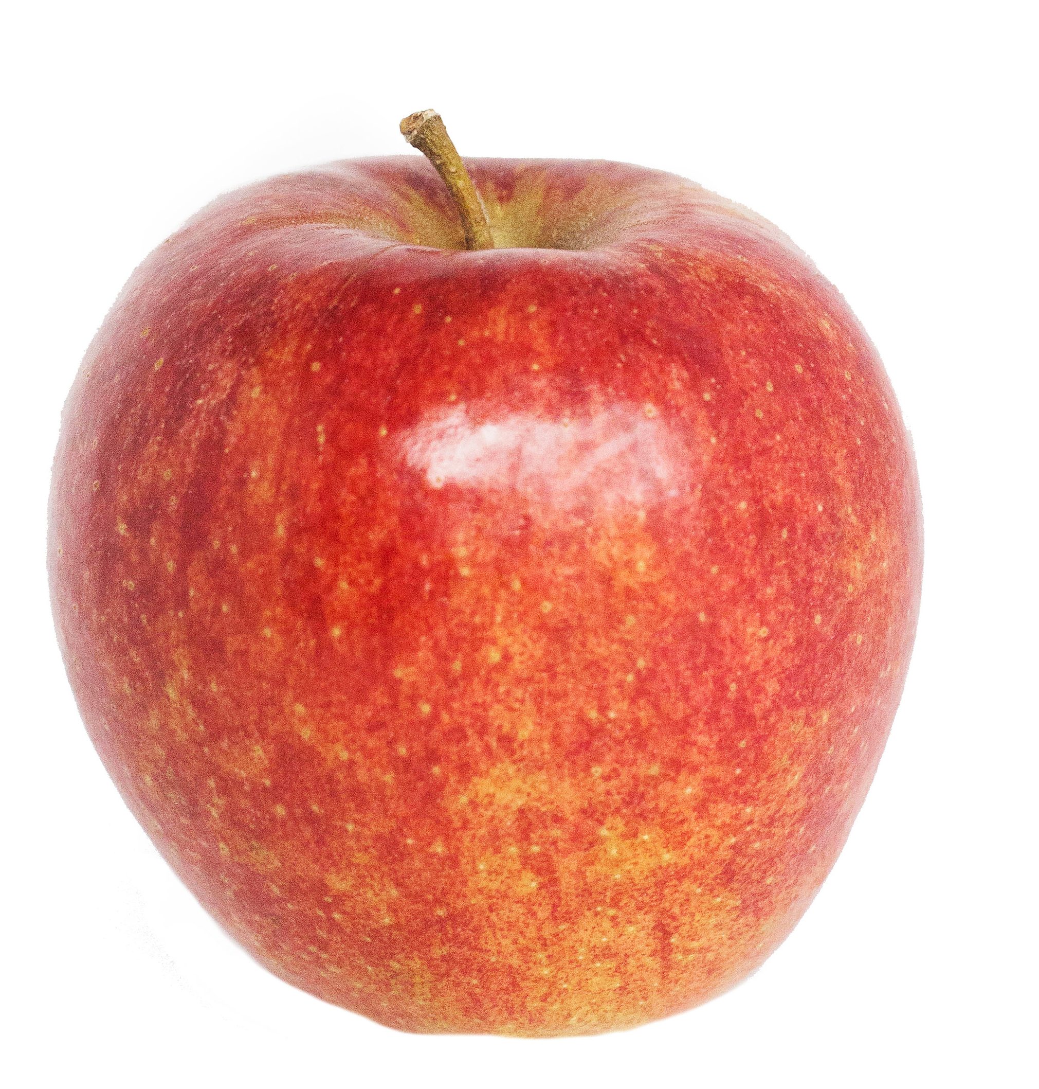 Are Jonagold Apples Good For Applesauce At Alma Jones Blog